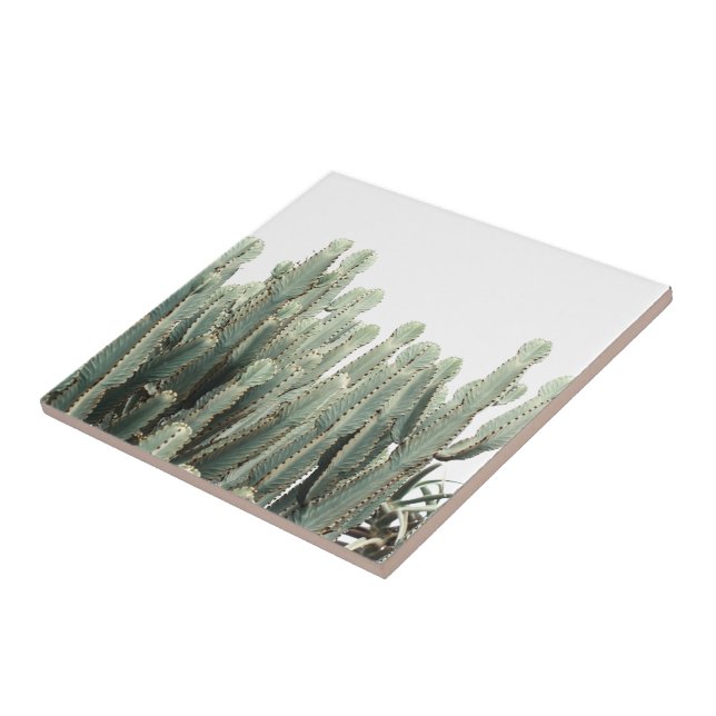 Pale Green Cactus Plants Pattern Ceramic Tile (Side)