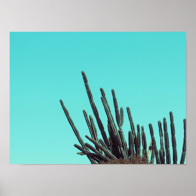Pale Green Cactus Succulent Plants Minimalism Poster (Front)