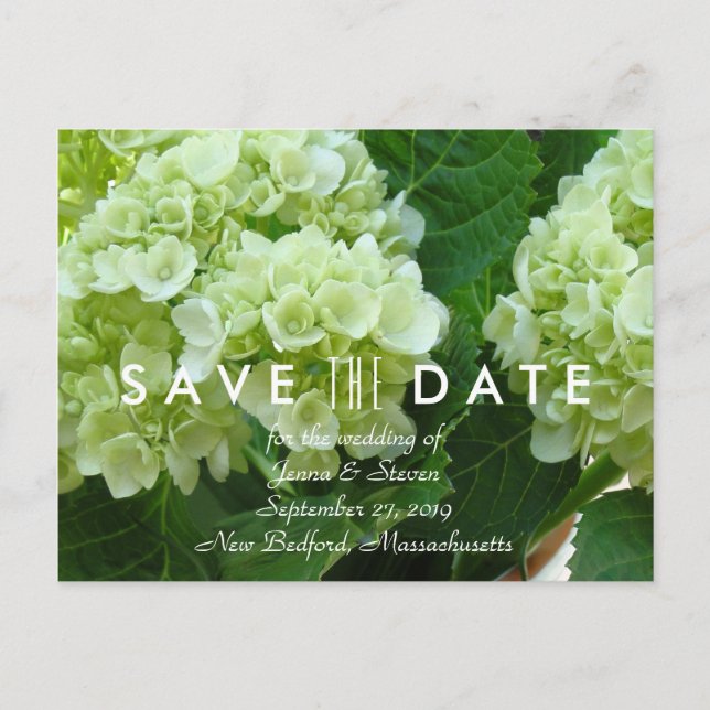 Pale Green Hydrangea Save the Date Postcard (Front)