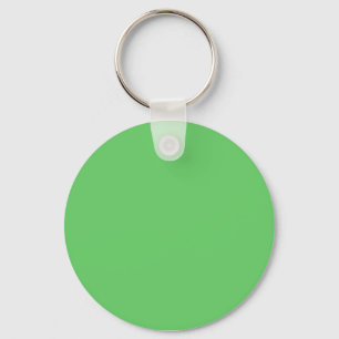 Pale Green Key Ring