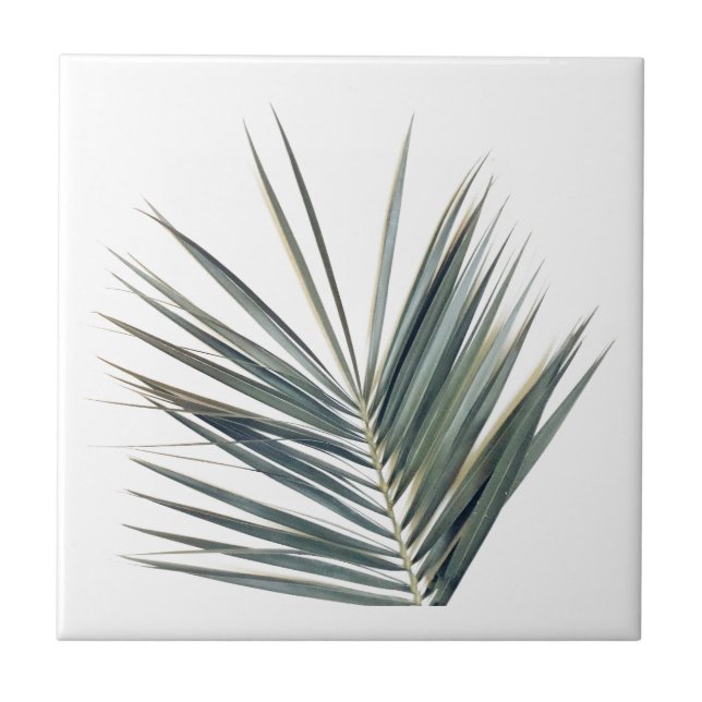 Pale green leaf ceramic tile (Front)