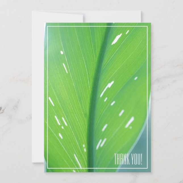 Pale Green Leaf Plant Thank You Flat Card (Front)