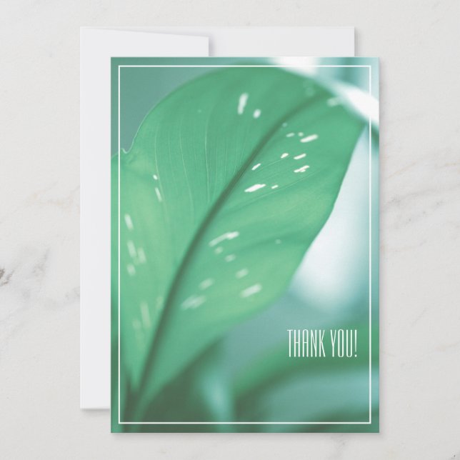Pale Green Leaf Plant Thank You Flat Card (Front)