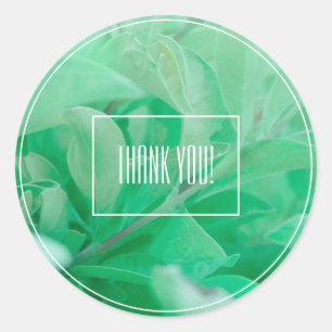 Pale Green Leaf Plant Thank You Sticker
