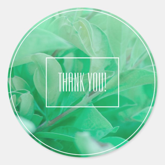 Pale Green Leaf Plant Thank You Sticker (Front)