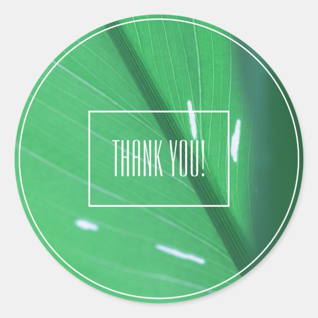 Pale Green Leaf Plant Thank You Sticker (Front)