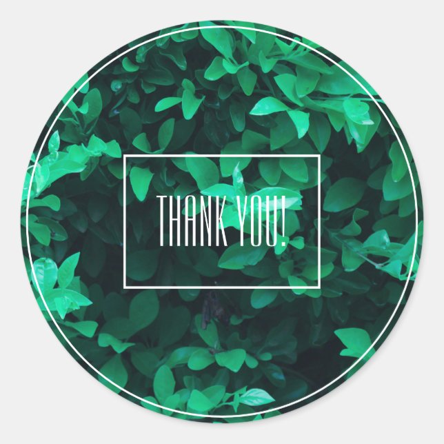 Pale Green Leaf Plant Thank You Sticker (Front)
