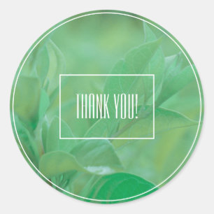 Pale Green Leaf Plant Thank You Sticker