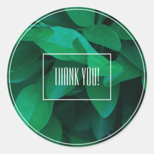 Pale Green Leaf Plant Thank You Sticker