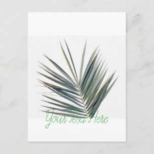 Pale green leaf postcard