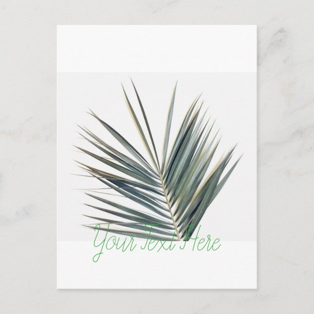 Pale green leaf postcard (Front)