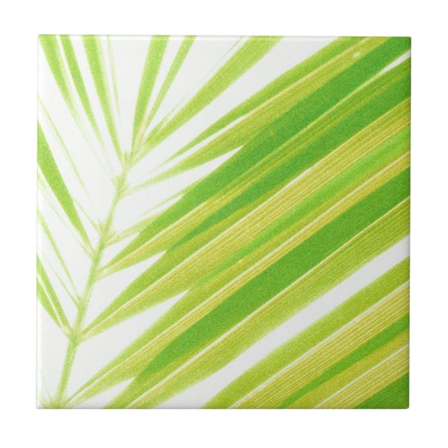 Pale Green Pastel Palm Leaves Ceramic Tile (Front)