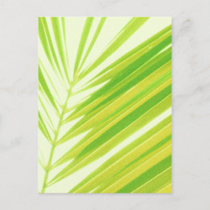 Pale Green Pastel Palm Leaves Postcard