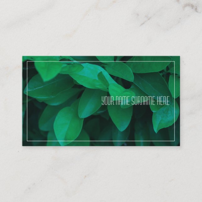 Pale Green Plant Leaves Nature Feel Business Card (Front)