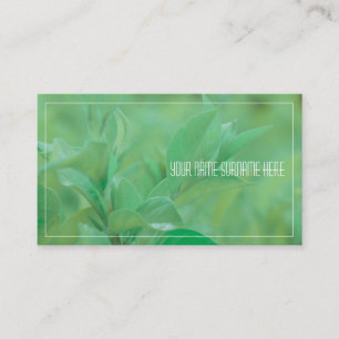 Pale Green Plant Leaves Nature Feel Business Card