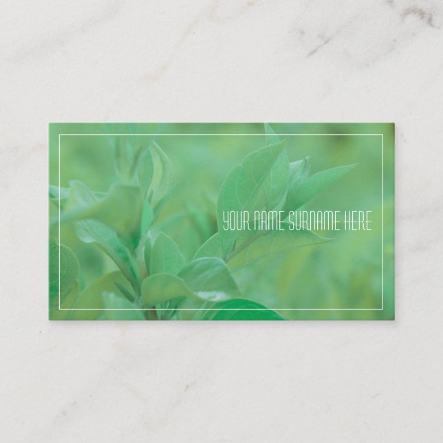 Pale Green Plant Leaves Nature Feel Business Card (Front)