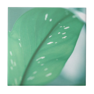 Pale Green Plant Leaves Nature Feel Ceramic Tile