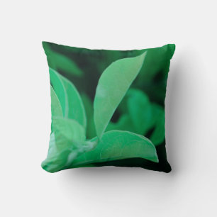 Pale Green Plant Leaves Throw Pillow Cushion