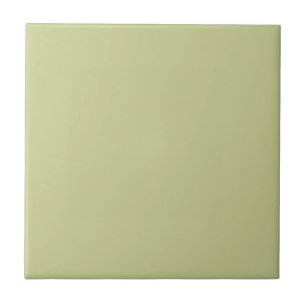 Pale Green Solid Colour Ceramic Tile