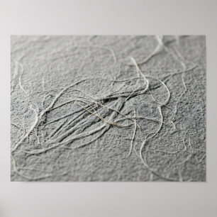 Pale Grey Tangled Fibre Paper Texture Poster