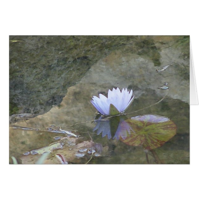 Pale lavenday waterlily card (Front Horizontal)