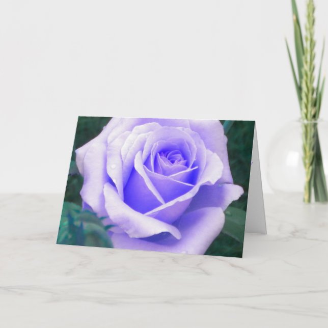 Pale Lavender Rose Birthday Card (Front)