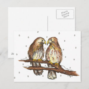 Pale Male Lola Red Tailed Hawk Bird Winter Snow Postcard