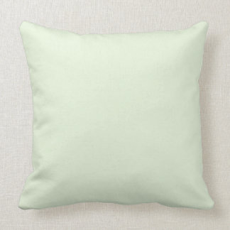 Pale Mint Green Cushion