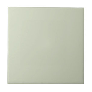 Pale Moss Green Color Tile