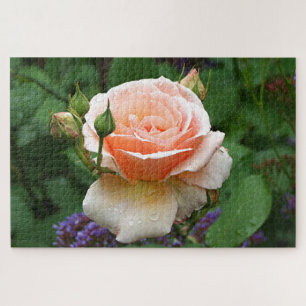 Pale orange rose & raindrops jigsaw puzzle