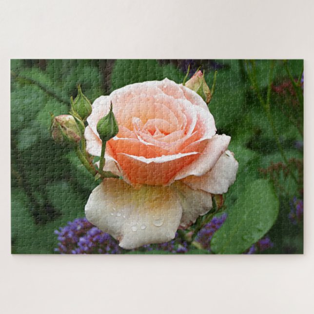 Pale orange rose & raindrops jigsaw puzzle (Horizontal)