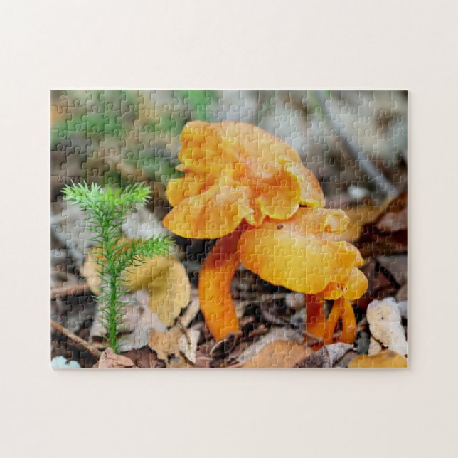 Pale Orange Wild Mushroom Family Nature  Jigsaw Puzzle (Horizontal)