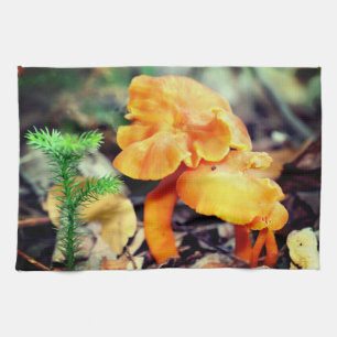Pale Orange Wild Mushrooms Close Up Tea Towel
