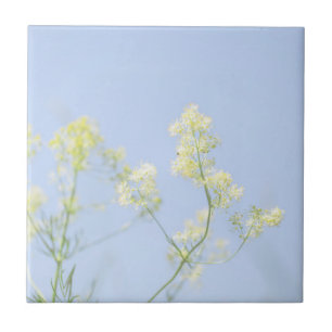 Pale Pastel Blue Sky Wild Flowers Meadow Ceramic Tile