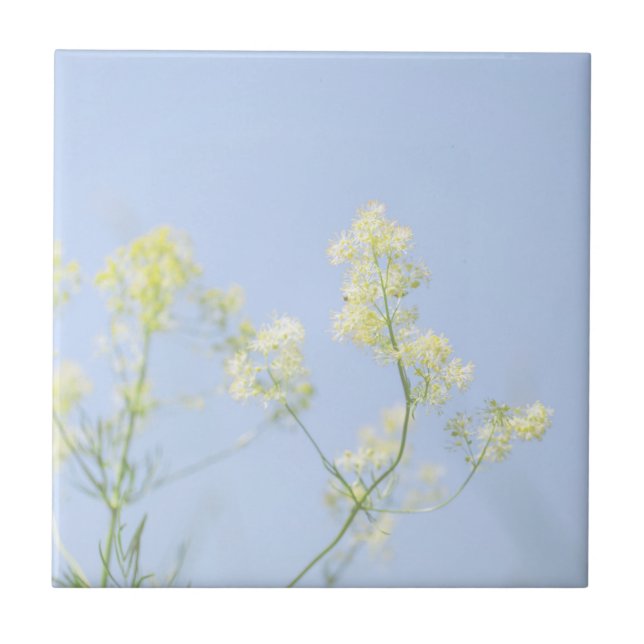 Pale Pastel Blue Sky Wild Flowers Meadow Ceramic Tile (Front)