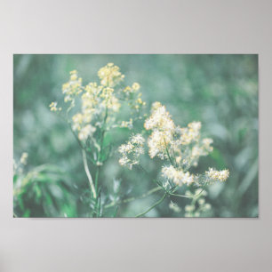 Pale Pastel Green Wild Flowers Meadow Poster