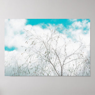 Pale Pastel Light Blue Turquoise Tree Brunches Sky Poster