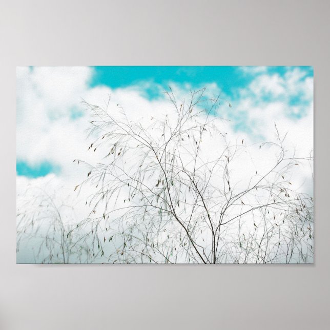 Pale Pastel Light Blue Turquoise Tree Brunches Sky Poster (Front)