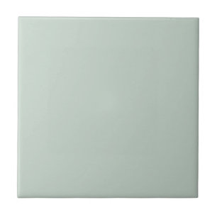 Pale Pastel Mint Green Solid Colour Pairs To SW645 Ceramic Tile