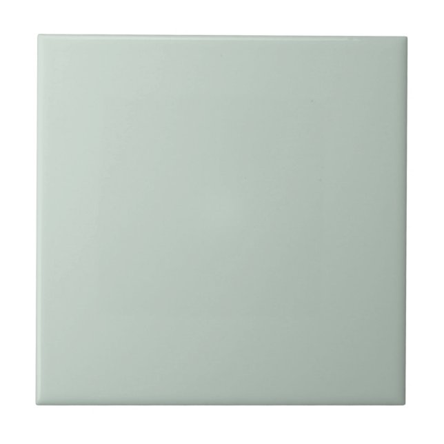 Pale Pastel Mint Green Solid Colour Pairs To SW645 Ceramic Tile (Front)