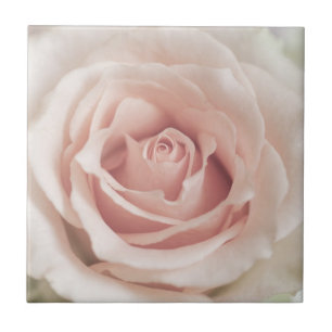 Pale Peach Antique Rose Background Customised Ceramic Tile