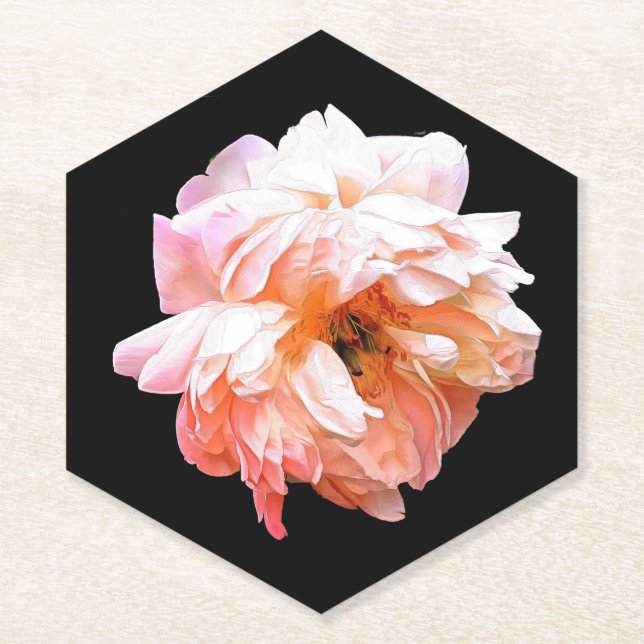 Pale Peach Peony on Black Paper Coaster (Front)