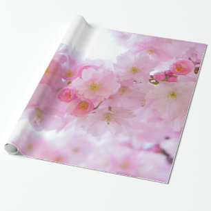 Pale Pink Cherry Blossoms Wrapping Paper