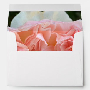 Pale pink English rose Envelope