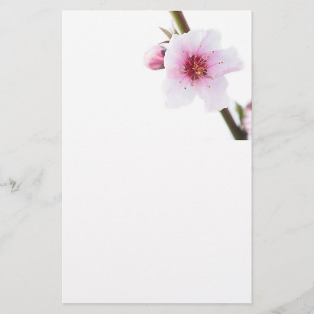 Pale pink flowers stationery (Front)