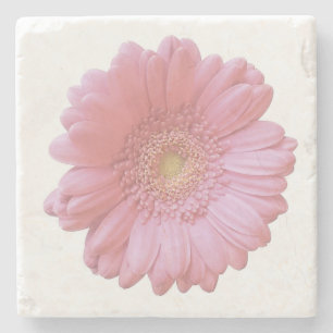 Pale pink gerbera daisy stone coaster