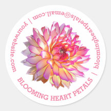 Pale Pink Giant Dahlia Business Contact Details