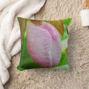 Pale Pink Lady Slipper Orchid Flower Close Up  Cushion