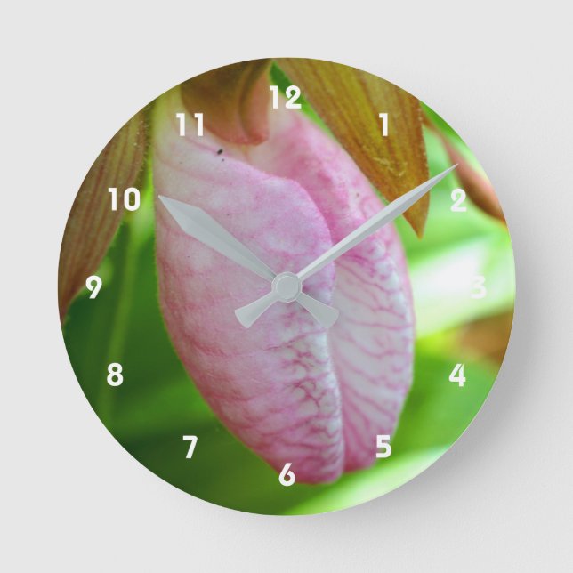Pale Pink Lady Slipper Orchid Flower Close Up  Round Clock (Front)
