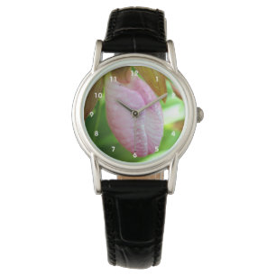 Pale Pink Lady Slipper Orchid Flower Close Up   Watch